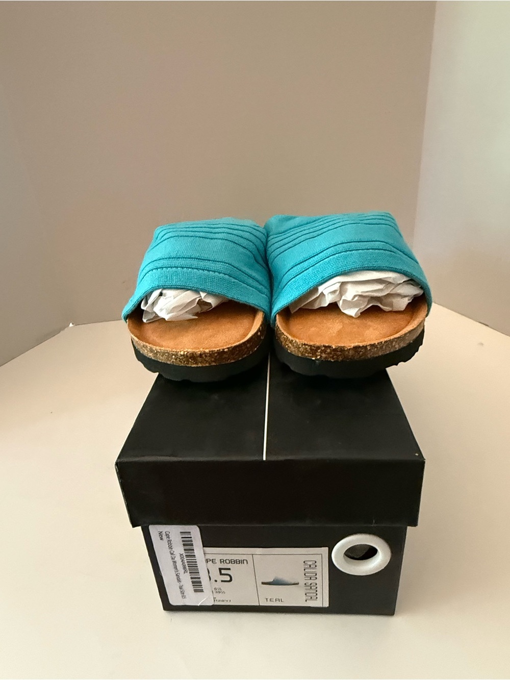 Cape Robbin Teal Slide Sandals NEW Women’s 8.5